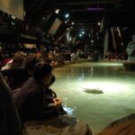Acquario_di_Genova-vasca_delle_razze
